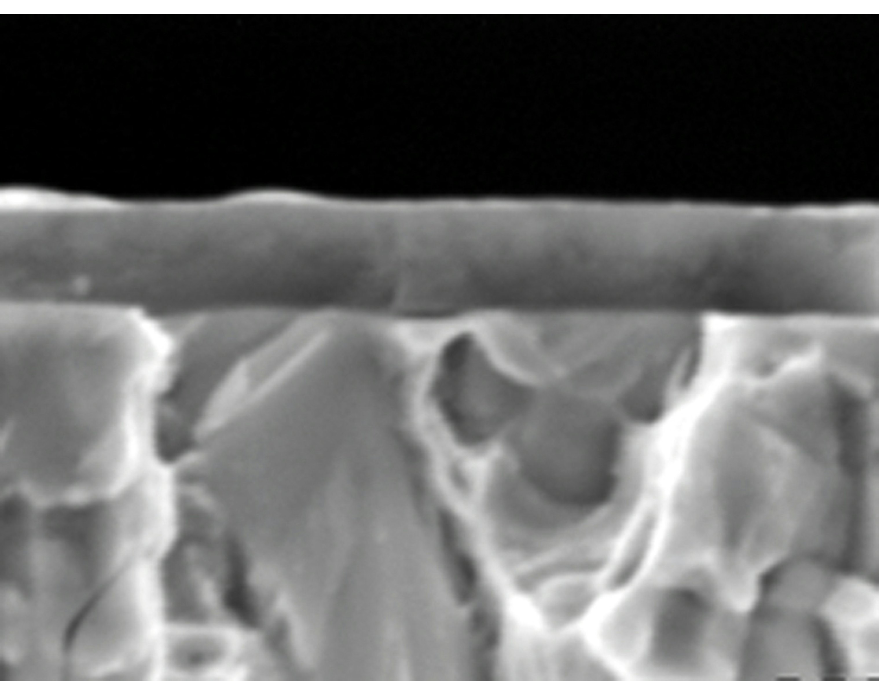 Microsection Tribobond 15
