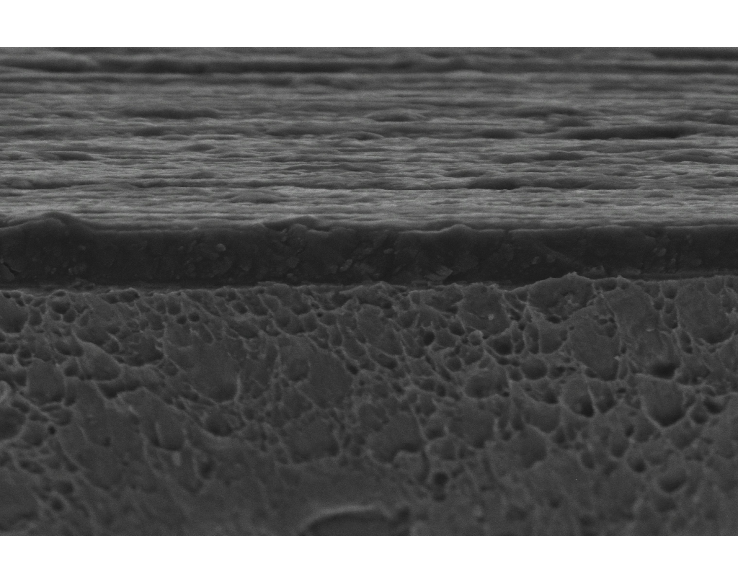 Microsection Tribobond 48