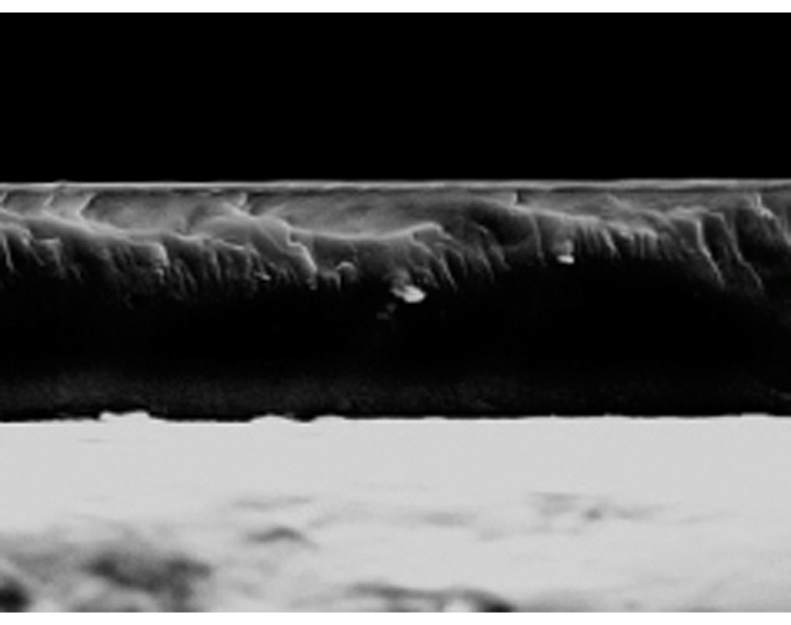 Microsection Medthin 43
